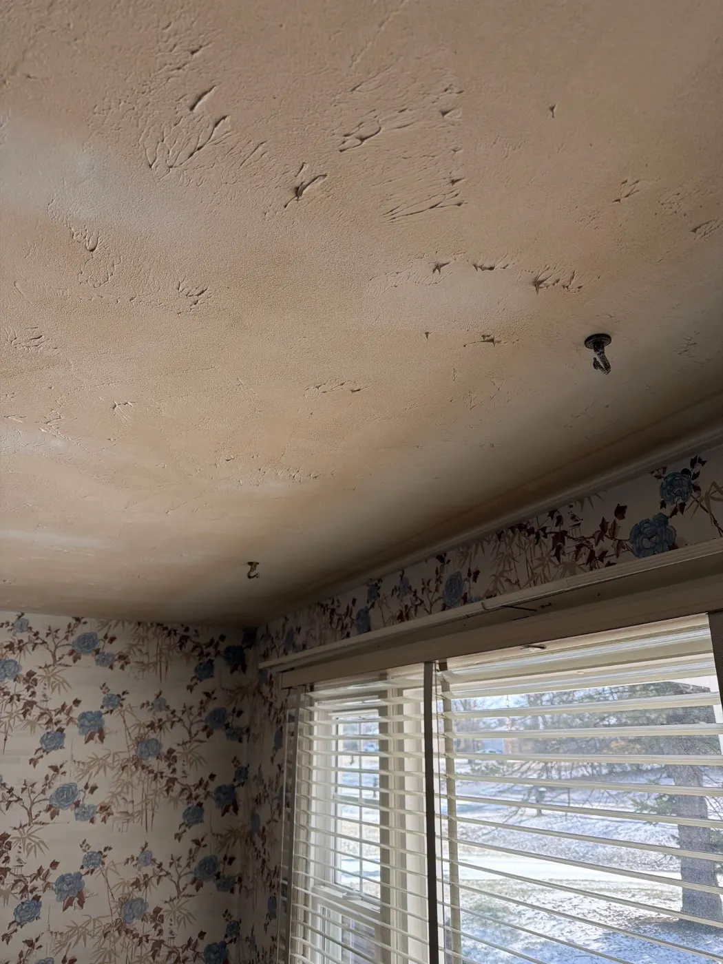 Thermal imaging during water damage assessment in Castleton residence